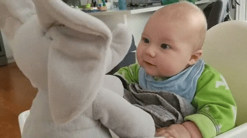 Peek A Boo Singing Elephant Toy