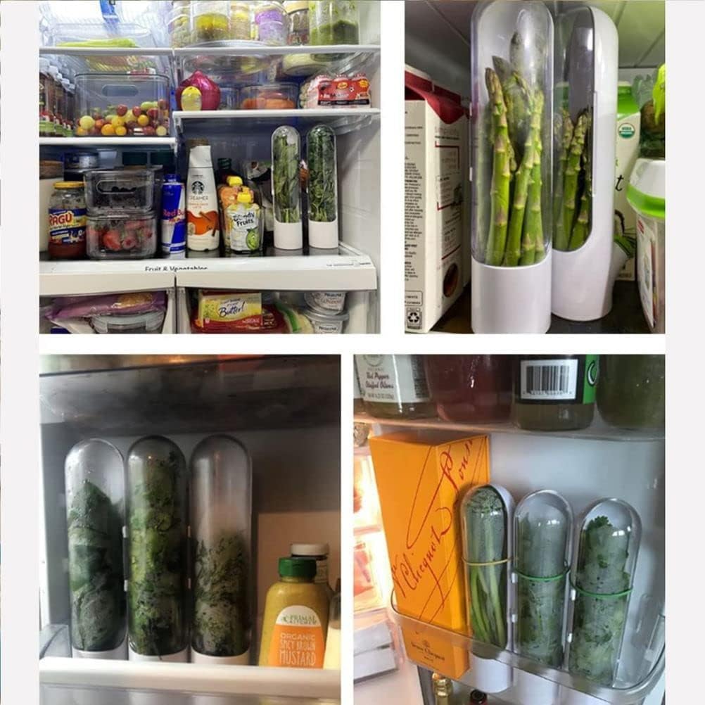 Everfresh Herb Saver Pod Container